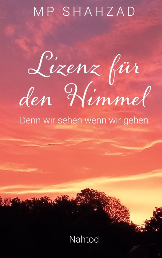 Lizenz für den Himmel - cover