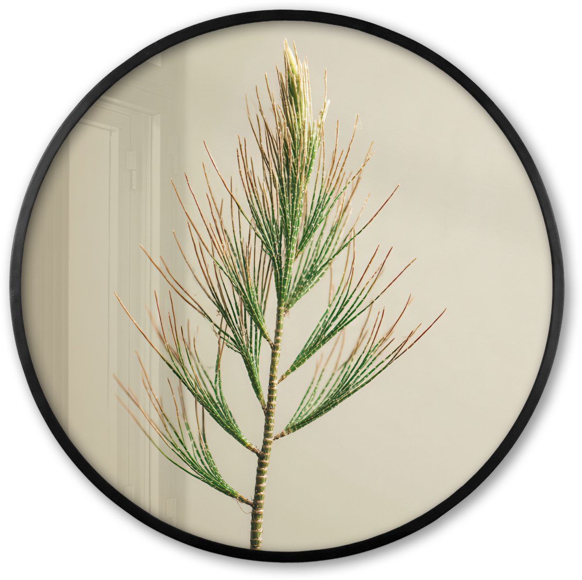 FrameYourWall Poster in lijst Rond - Fotolijst 60x60 cm - Posters - Dennentak - Naaldvormige bladeren - Lichtgroen - Ronde posterlijst zwart - Decoratie - Wanddecoratie woonkamer - Muurdecoratie slaapkamer