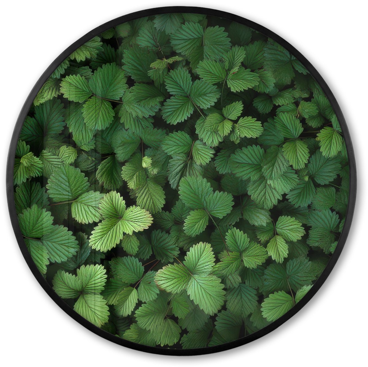 FrameYourWall Poster in lijst Rond - Fotolijst 80x80 cm - Posters - Groen - Bladeren - Kartel - Zonlicht - Ronde posterlijst zwart - Decoratie - Wanddecoratie woonkamer - Muurdecoratie slaapkamer