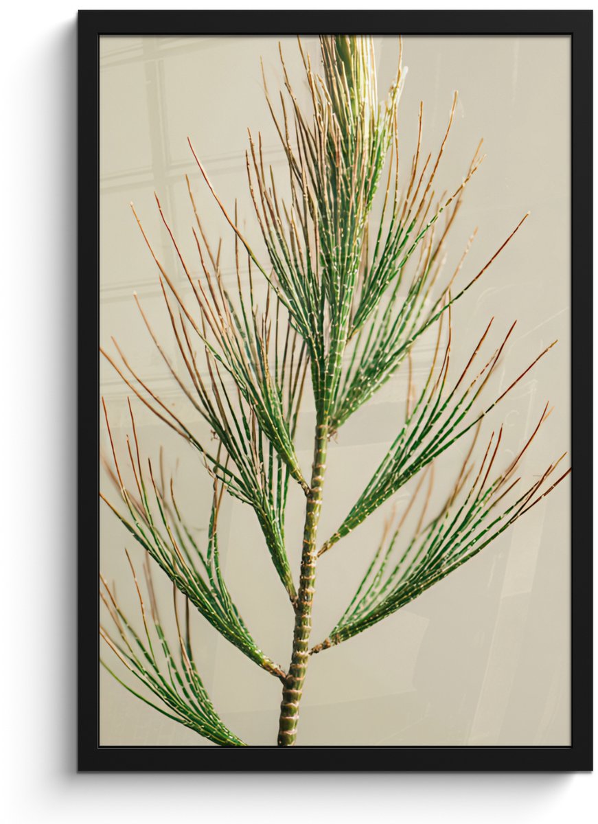 FrameYourWall Poster in lijst - Fotolijst 40x60 cm - Posters - Dennentak - Naaldvormige bladeren - Lichtgroen - Posterlijst zwart - Decoratie - Wanddecoratie woonkamer - Muurdecoratie slaapkamer