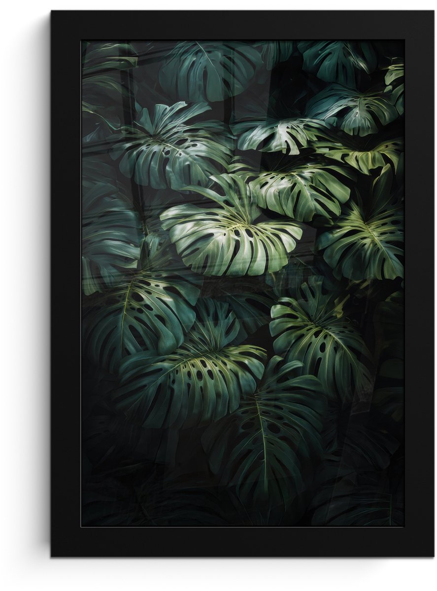 FrameYourWall Poster in lijst - Fotolijst 20x30 cm - Posters - Plant - Monstera - Lichtinval - Posterlijst zwart - Decoratie - Wanddecoratie woonkamer - Muurdecoratie slaapkamer Bladeren - Glad