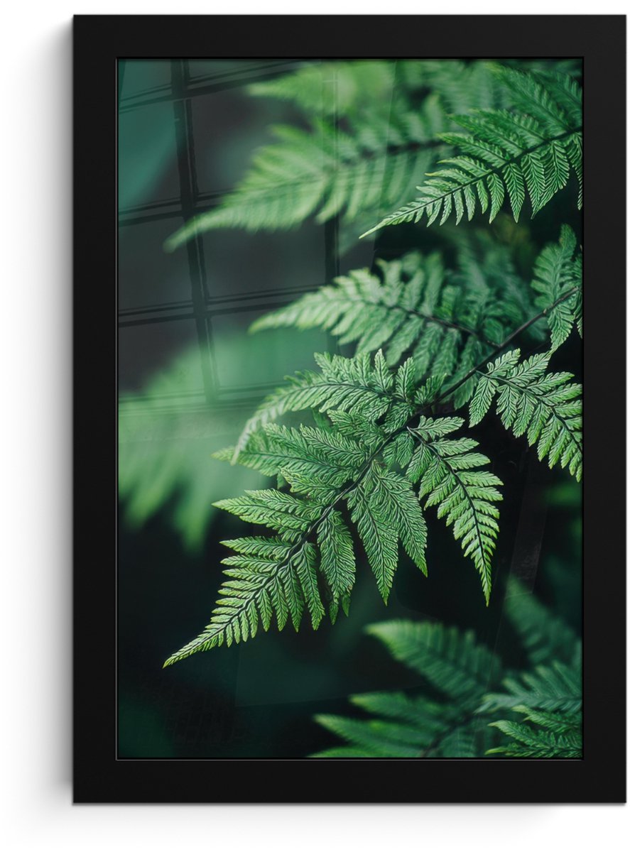 FrameYourWall Poster in lijst - Fotolijst 20x30 cm - Posters - Varenblad - Groen - Structuur - Wazig - Posterlijst zwart - Decoratie - Wanddecoratie woonkamer - Muurdecoratie slaapkamer