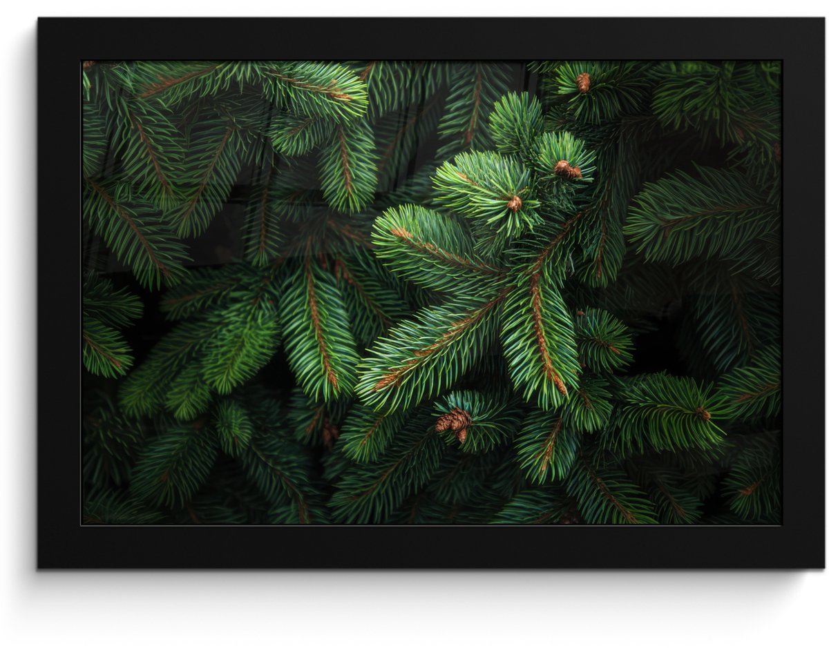 FrameYourWall Poster in lijst - Fotolijst 30x20 cm - Posters - Sparrentakken - Knoppen - Naalden - Groen - Posterlijst zwart - Decoratie - Wanddecoratie woonkamer - Muurdecoratie slaapkamer