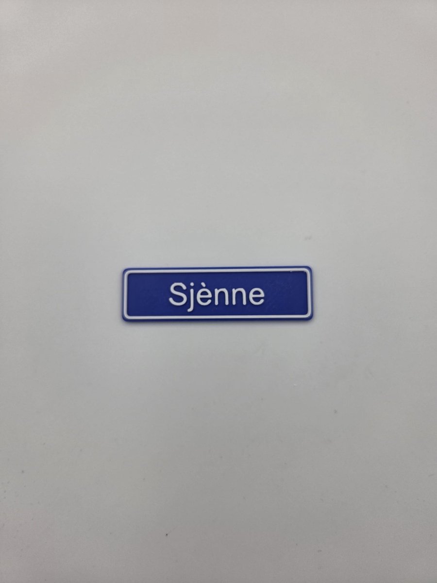 3D plaatsnaam speldje Sjènne