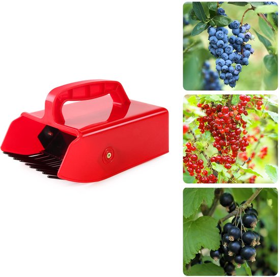 Bessenplukker - Blauwe bessenplukker - Fruitplukker - Met metalen kam en handvat - Gereedschap voor gemakkelijker bessen plukken - Geschikt voor het plukken van blauwe bessen en bosbessen - Rood van AVIWIS — afbeelding 5