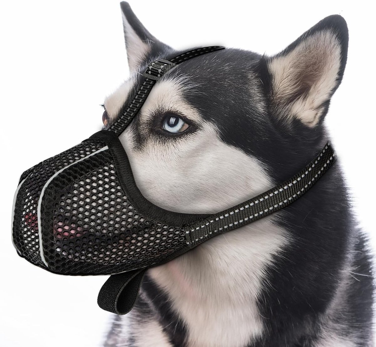 Honden Muilkorf - Verstelbare Riem, Veilig, Ademend En Comfortabel Voor Huisdieren - S
