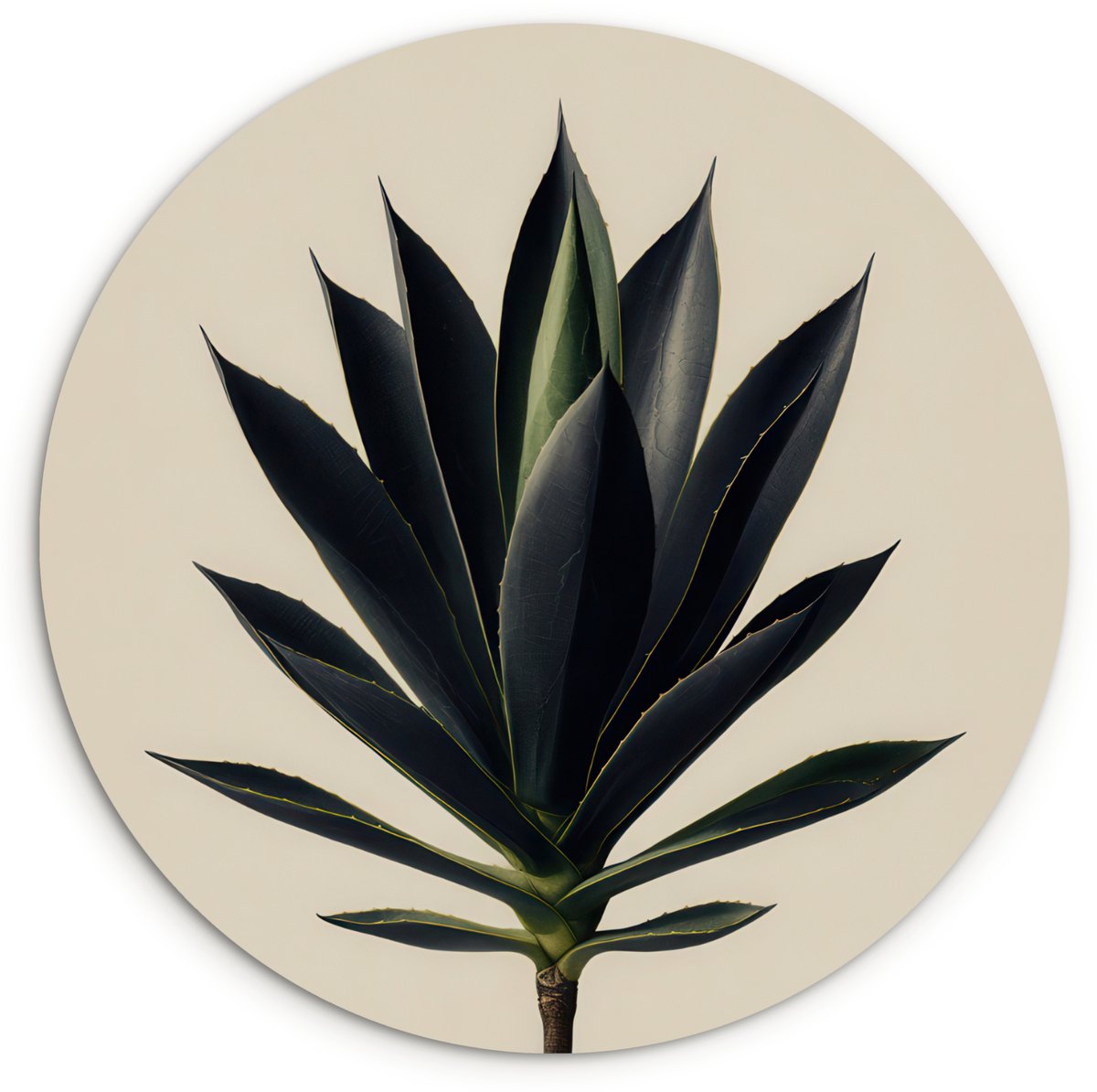 WallCircle Wandcirkel 140x140 cm - Muurcirkel Agaveplant - Symmetrisch - Groen - Muurdecoratie woonkamer - Wanddecoratie slaapkamer - Kamer decoratie accessoires - Ronde schilderijen