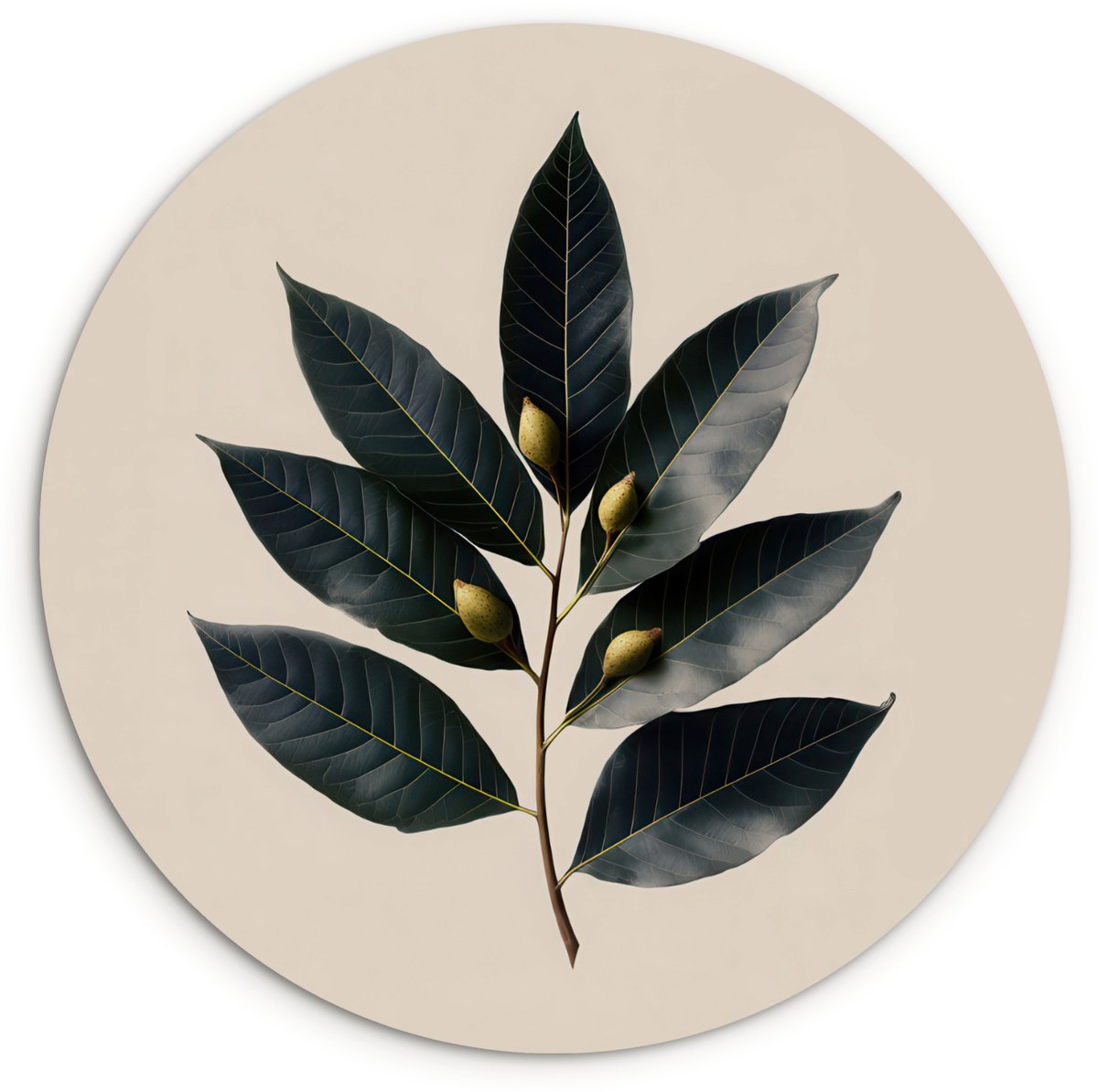 WallCircle Wandcirkel 60x60 cm - Muurcirkel Laurierbladeren - Bloemknoppen - subtiel - Muurdecoratie woonkamer - Wanddecoratie slaapkamer - Kamer decoratie accessoires - Ronde schilderijen