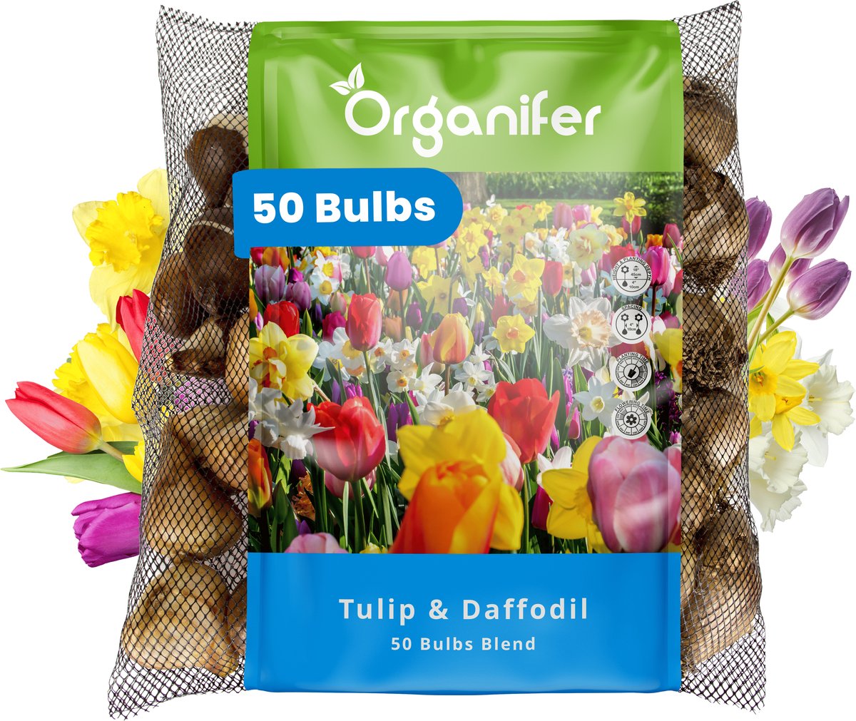 50 Tulpen- en Narcissen Mix - 8 Soorten - XXL Bolmaat 12/14 cm/+ - Bloembollen - Narcissen - Kleurenmix - Zomerbollen - Voorjaarsbollen - Trekt vlinders en bijen aan - Vaste planten - Organifer