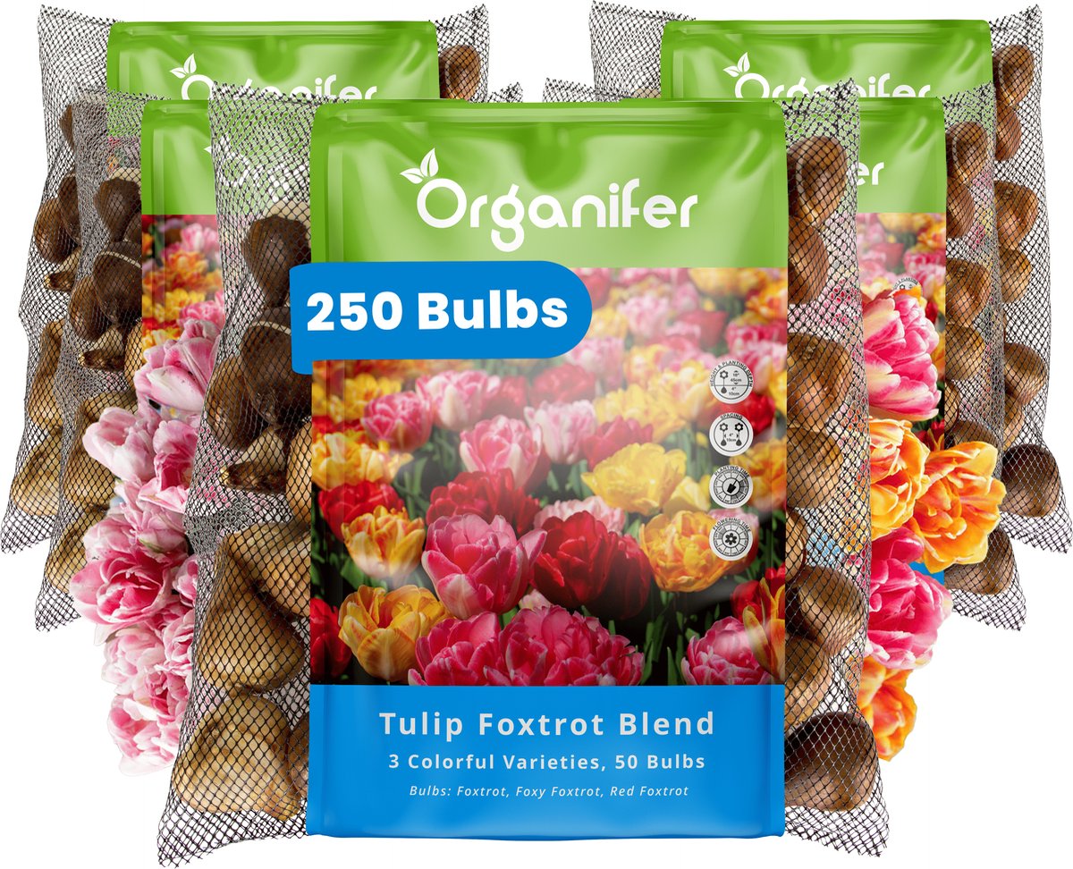 250 Foxtrot Tulpen Mix - 3 Kleurrijke Soorten - XXL Bollengrootte 12 cm+ - Bloembollen - Tulipa 'Foxtrot' - Dubbelkleurige tulpen - Zomerbollen - Voorjaarsbollen - Trekt vlinders en bijen aan - Vaste planten - Organifer