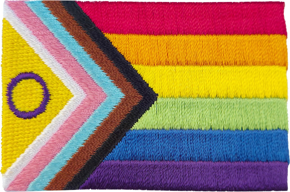 Embleem Progress Pride vlag- Strijk embleem - Carnavalskleding - Carnaval accessoires