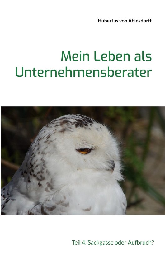 Mein Leben als Unternehmensberater - cover