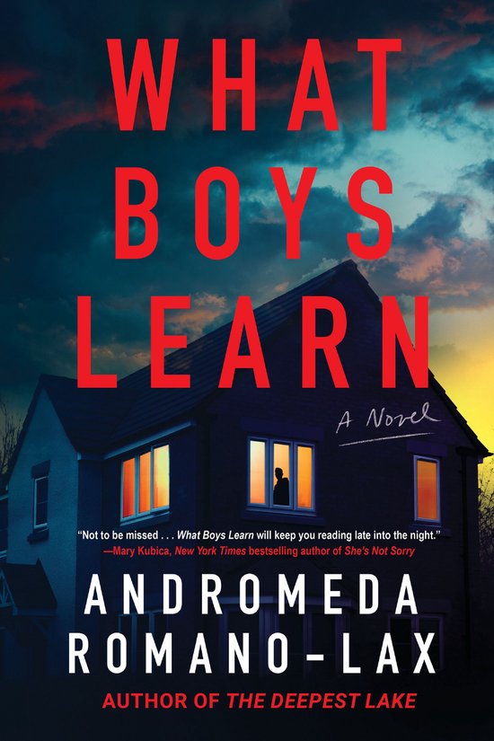 Boekomslag van "What Boys Learn". Een donker huis met verlichte ramen en een dramatische, kleurrijke lucht.