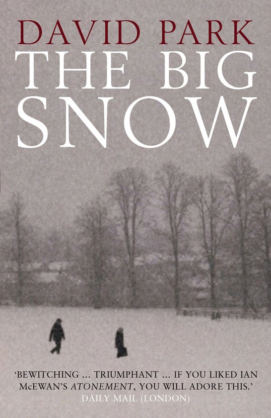 Boekhoes met de titel 'The Big Snow' van David Park, met een winterse scène van besneeuwde bomen en twee figuren op afstand.