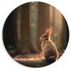 Lapin - Forêt - Rayons de soleil