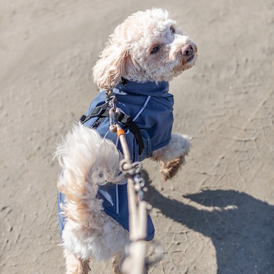 Trixie be nordique imperméable bleu husum 30 cm