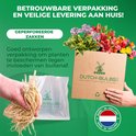 Verpakking van bloembollen met 'DUTCH-BULBS' logo, inclusief verpakte wortels en een doos met planten.