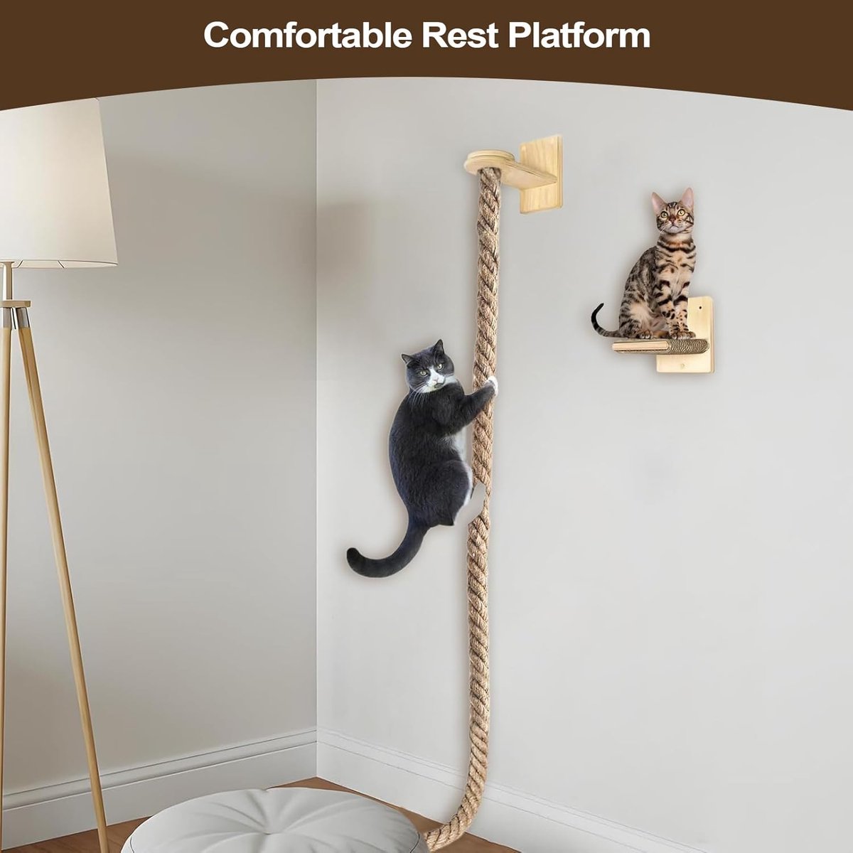 Kim's Katten Weetjes - Met kerst decoreren we graag ons huis. Mooie
