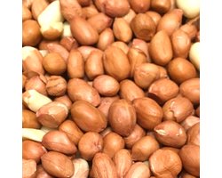 Gepelde Pinda’s – 20 kg (4×5 kg) – Ongebrand & Natuurlijk Vogelvoer