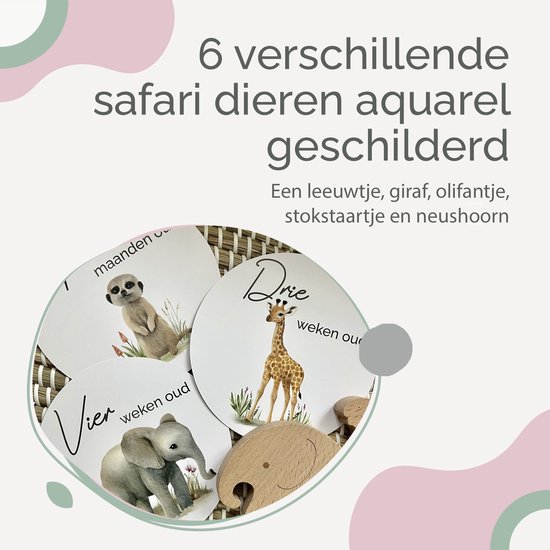 Rose & Ollie Mijlpaalkaarten baby - Safari- babyshower - kraamcadeau van Rose & Ollie — afbeelding 4
