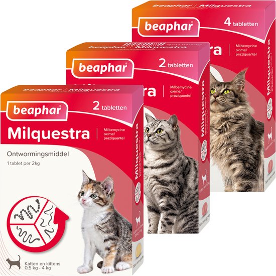 Beaphar Milquestra Kleine kat/kitten - 0,5 tot 4 Kg - 2 tabletten