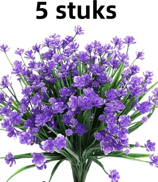 Foto: 