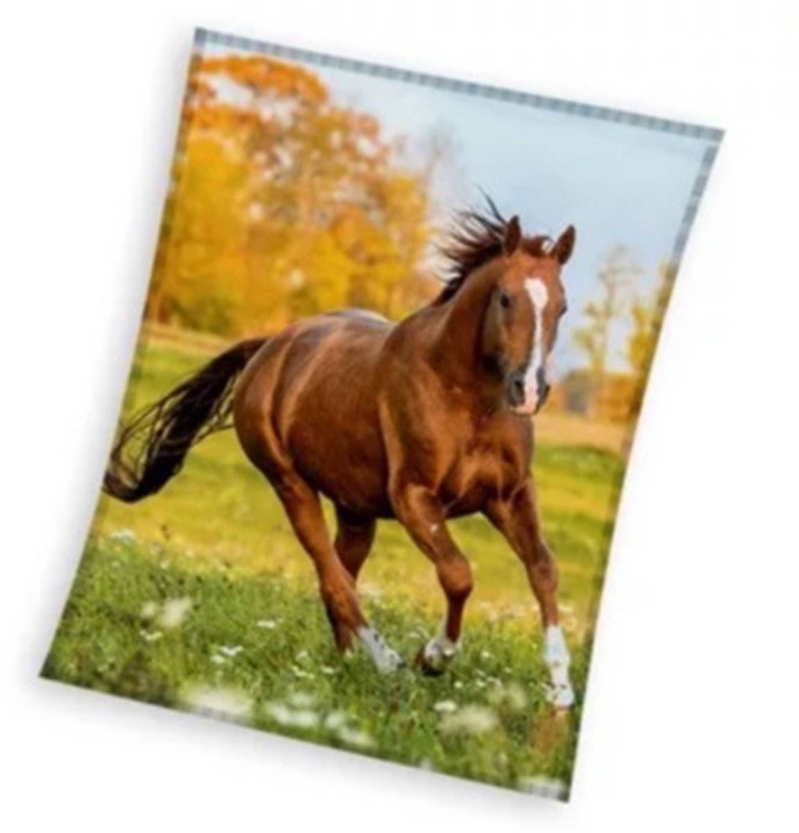 Sweet Home fleeceplaid Paard meerkleurig 150x200cm