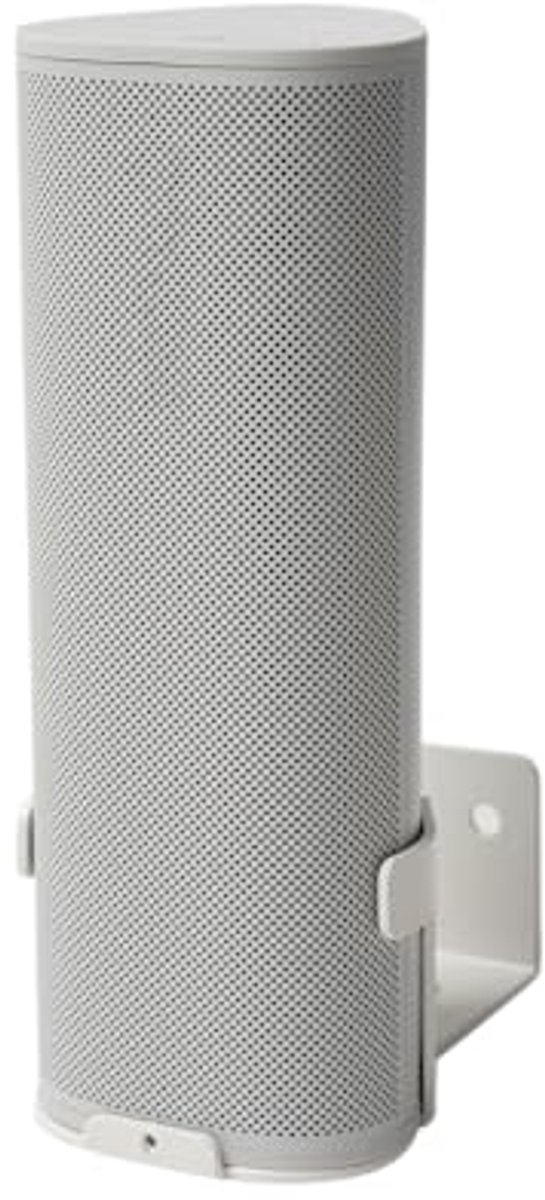Metalen Wandhouder voor Sonos Roam 1/2 - Verstelbare Bevestiging tot 12 kg - Inclusief Innovatief Kabelbeheer