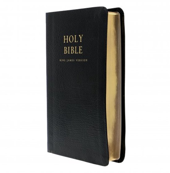 Holy Bible - cover