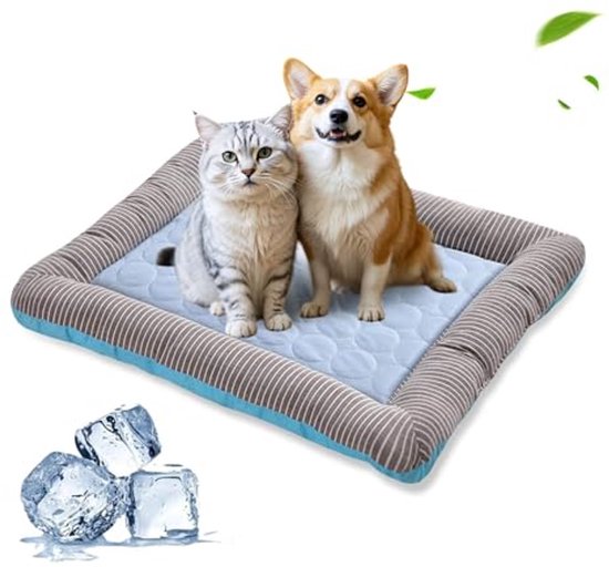 Zwart Giant Ribcord – Medium – Voor middelgrote honden - Dog