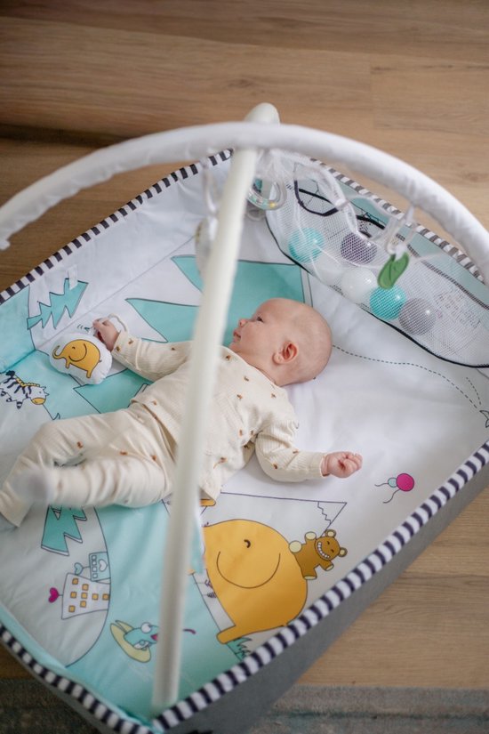 MamaLoes Diertjes 5-in-1 Speelkleed/Ballenbak ML050415 van Mamaloes — afbeelding 4