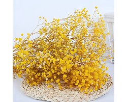 YIWOYI Natuurlijke droogbloemen Gypsophila vers gedroogde geconserveerde bloemen Gypsophila Paniculata bloemboeketten voor bruiloftsfeest huisdecoratie (geel, 40-55 cm, 80 gram)