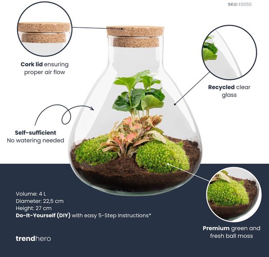 Terrarium - Sammie coffea - ↑ 27 cm - Ecosysteem plant - Kamerplanten - DIY planten terrarium - Mini ecosysteem