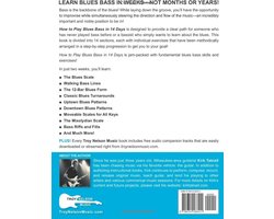 Leer Blues Bass Spelen in 14 Dagen