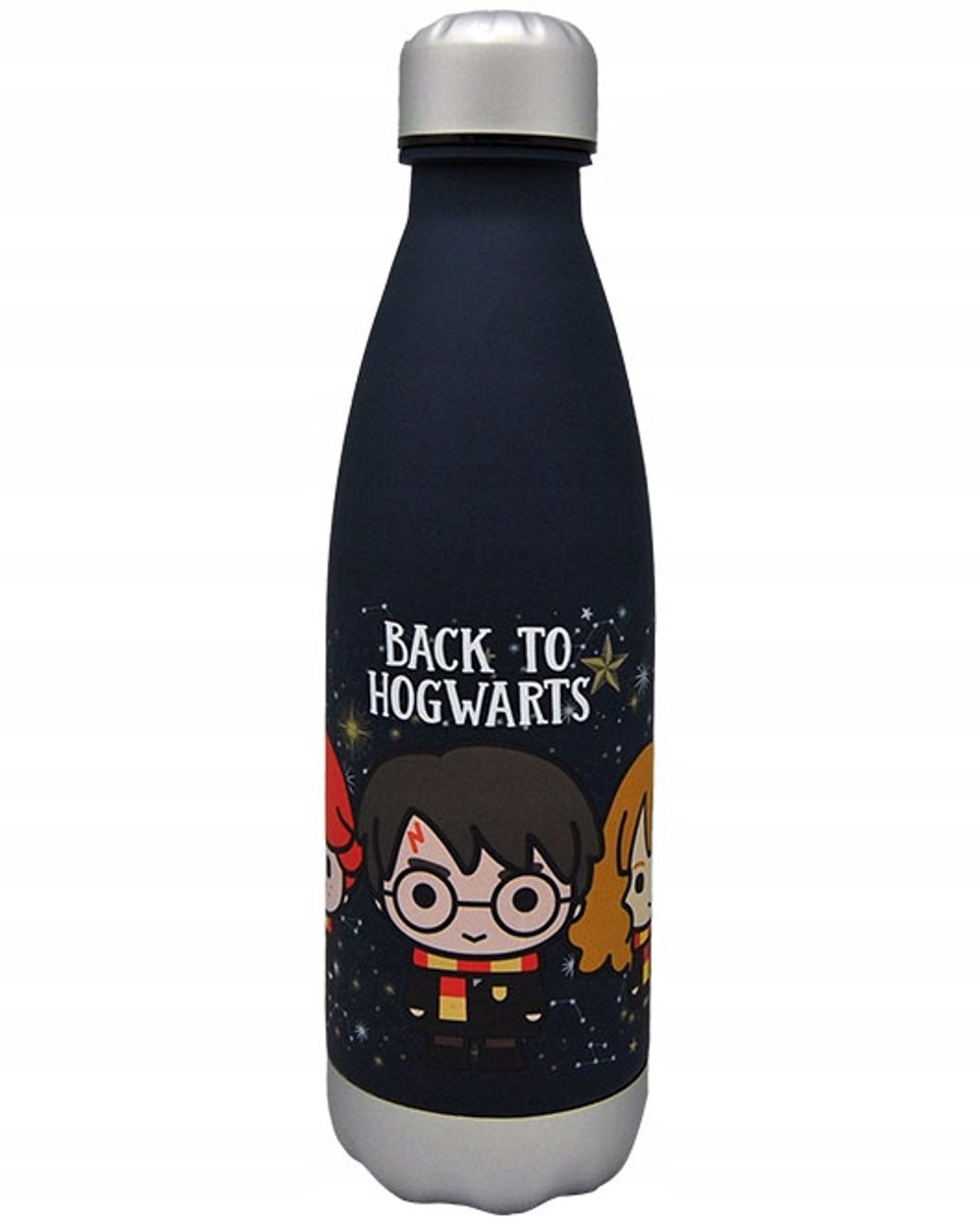 Harry Potter Hermelien & Ron Matten Fles 650ml