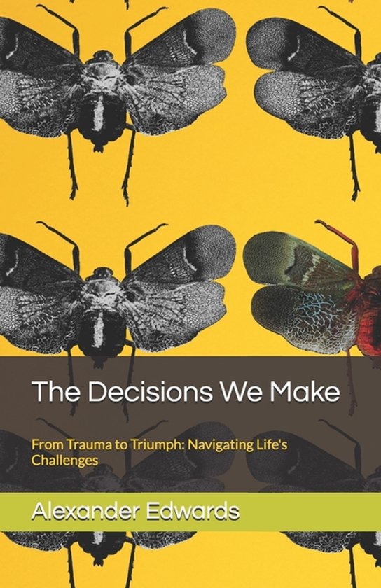 The Decisions We Make - cover