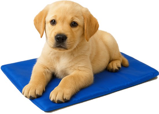 Nobleza 40JAO - Koelmat - 50x40 cm - Blauw