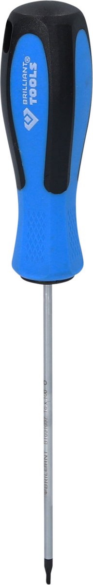 BRILLIANT TOOLS Schroevendraaier TORX T6 x 100 mm - BT031037