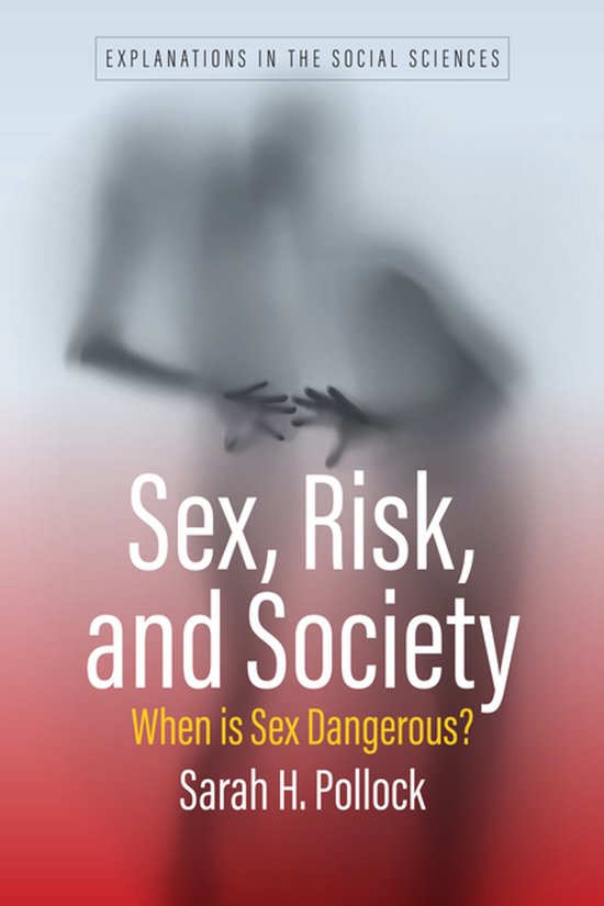 Sex, Risk, And Society - cover