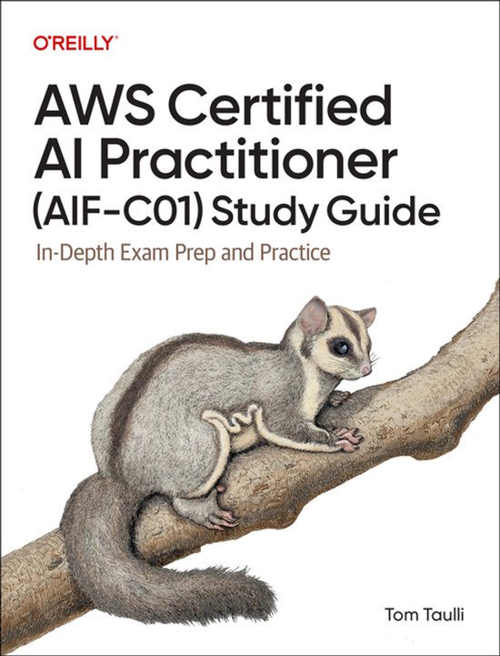 Aws Certified Ai Practitioner (aif-c01) Study Guide - cover