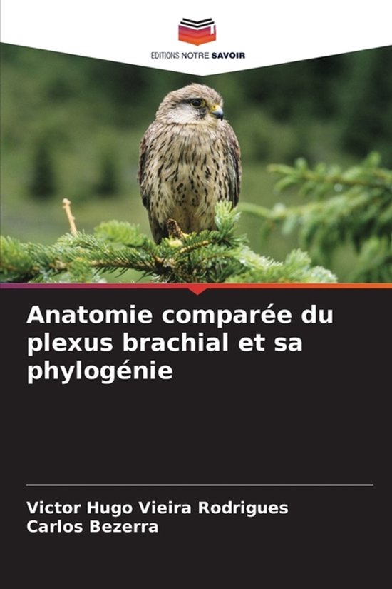 Anatomie comparée du plexus brachial et sa phylogénie - cover