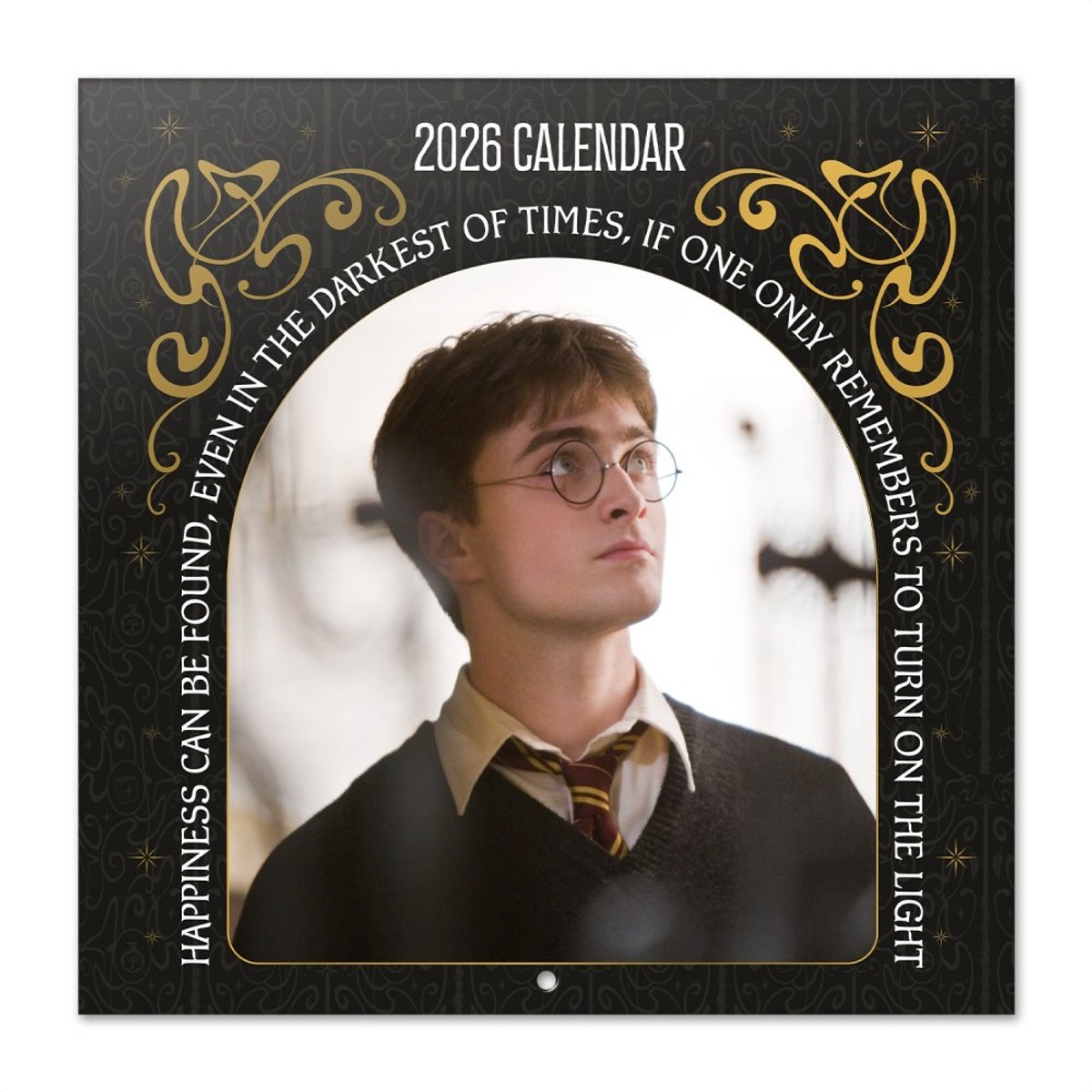 Harry Potter kalender 2026 - J.K. Rowling - Ron - Hermelien - Voldemort - Zweinstein - formaat 30 x 30 cm