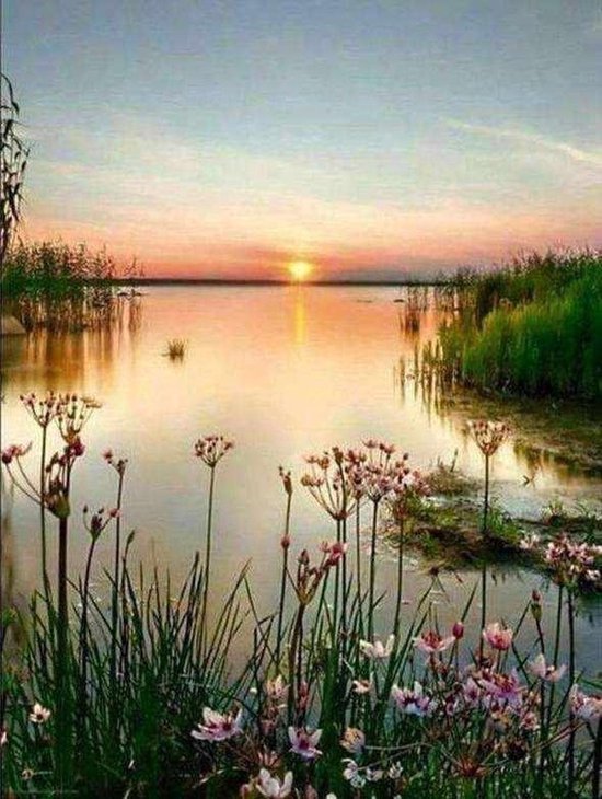 Lienz® Peinture de diamants Adulte 40x50cm – Rond – Coucher de soleil – Nature – Paysage – Fleurs – Complet – Kit Adultes