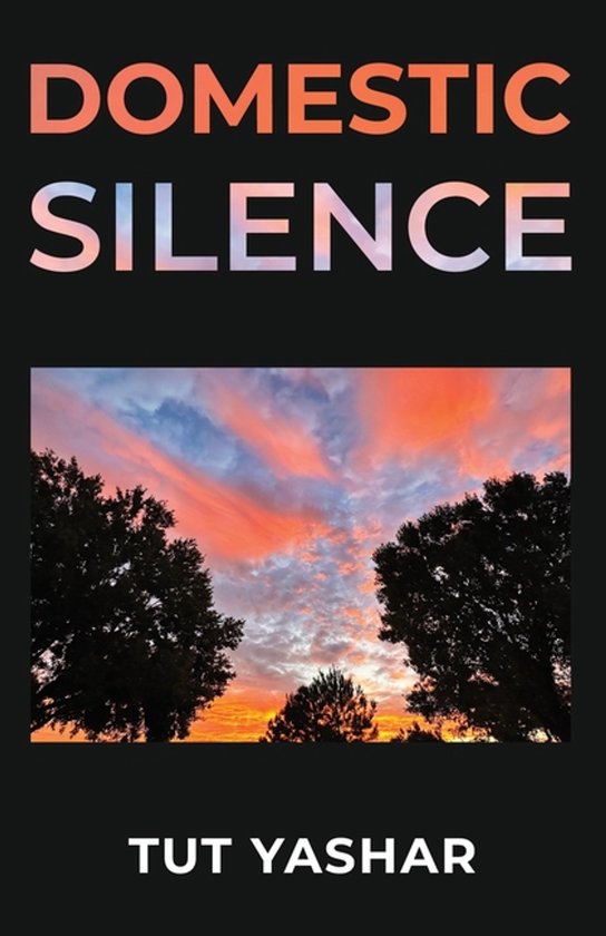 Domestic Silence - cover