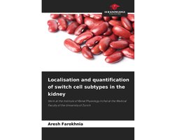 Localisation and quantification of switch cell subtypes in the kidney