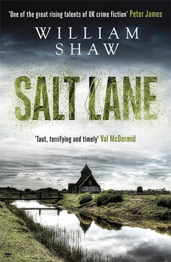 Salt Lane - cover