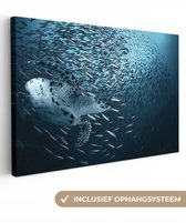 Peinture sur toile - Tortue - Poisson - Animaux aquatiques - Water - Canvasdoek - 60 x 40 cm - Photo sur toile - Peintures sur toile