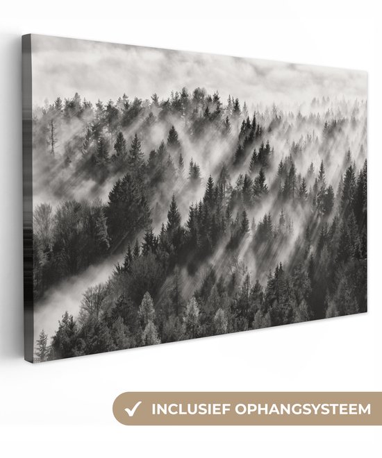 Peinture sur toile - Arbres - Brouillard - Forêt - Paysage - Peintures sur toile - 30x20 cm - Photo sur toile - Canvasdoek