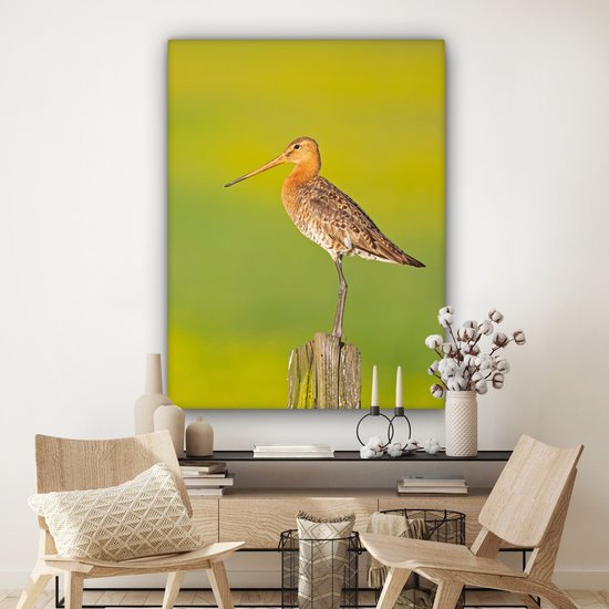 Toile - Tableau - Vogel - Animaux - Barge à queue noire - Perche - Vert - Peintures sur toile - Photo sur toile - 120x160 cm - Décoration murale - Salon