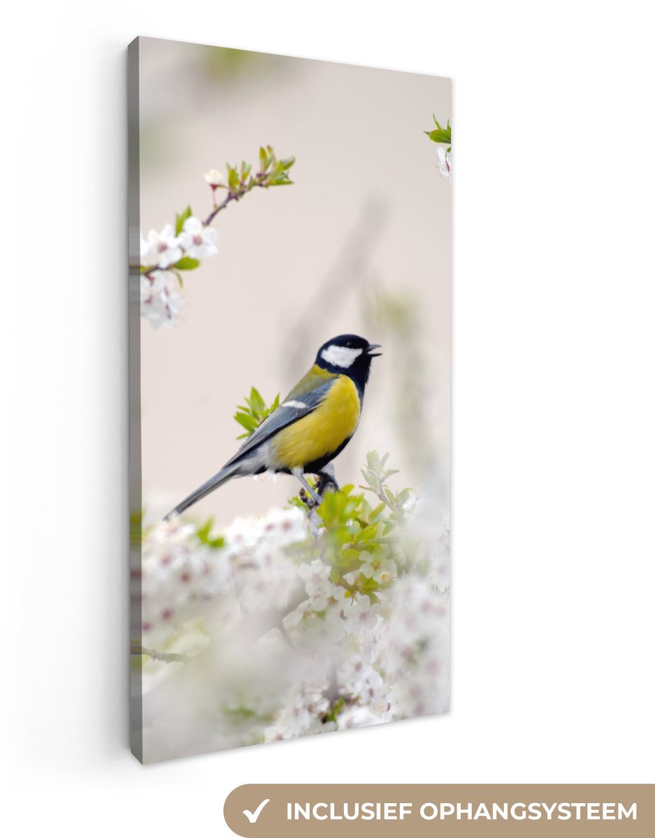 Canvas - Schilderij - Vogel - Koolmees - Bloemen - Bloesemboom - Wit - Schilderijen op can
